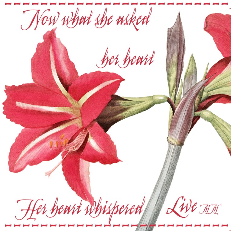 nowwhatsheaskedherheart