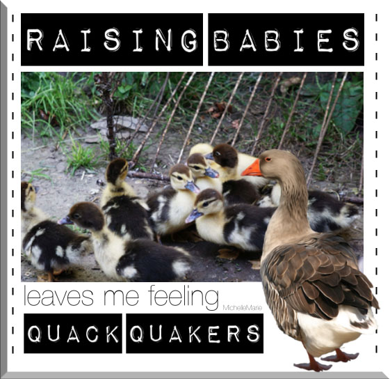raisingbabies