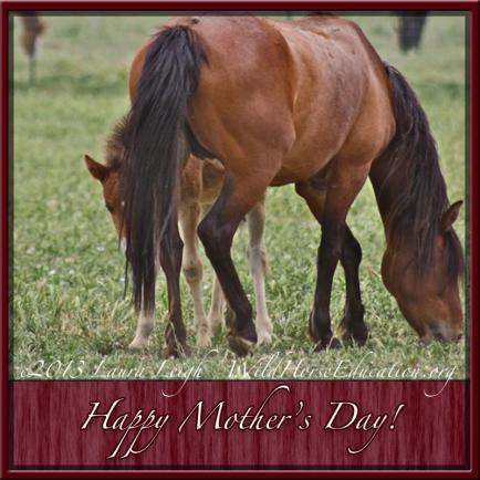 945947_475916525814054_1348335976_n