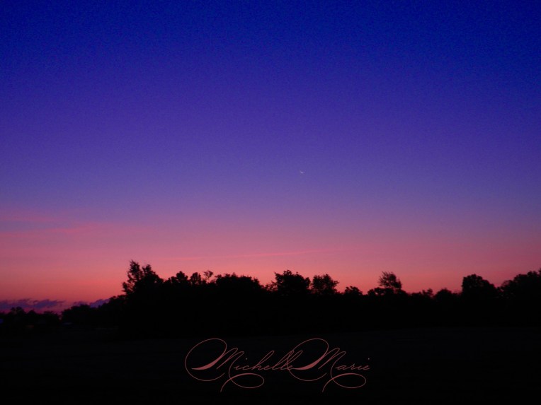 MichelleMarieOhwhatabeautifulmorning